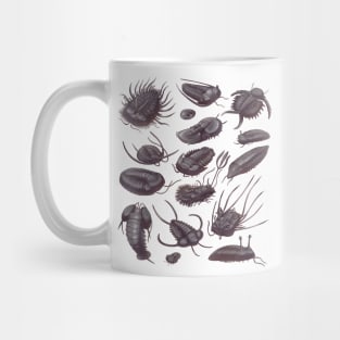 Trilobite Fossils Mug